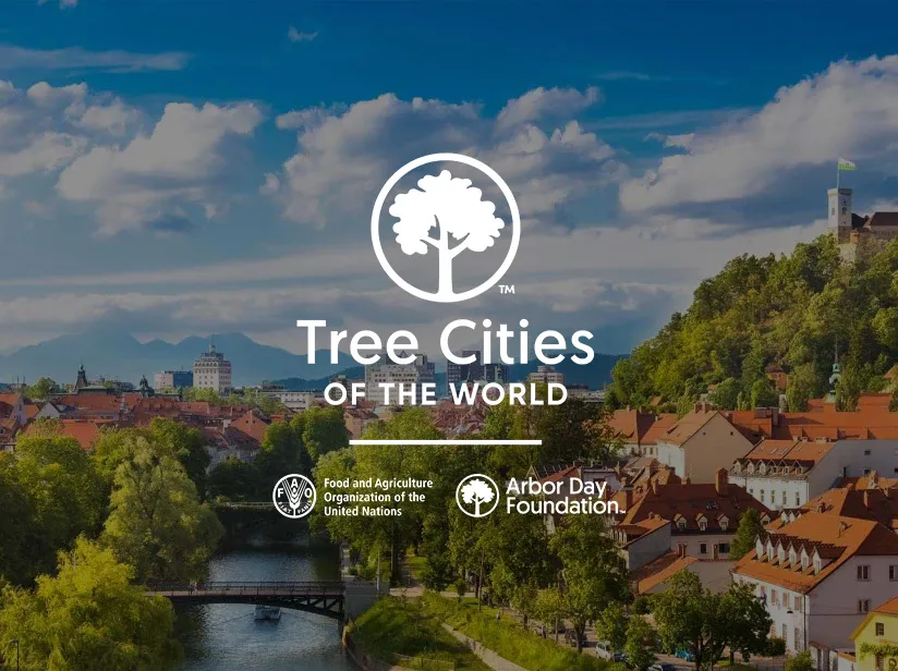 A collage showcasing various tree-filled cities around the world, highlighting urban greenery and sustainable living.