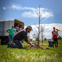 Man planting tree in city
